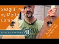 Seagull Merlin vs Merlin Sound Compare | M4 Spruce vs Mahogany Tops | StickDulcimer.com