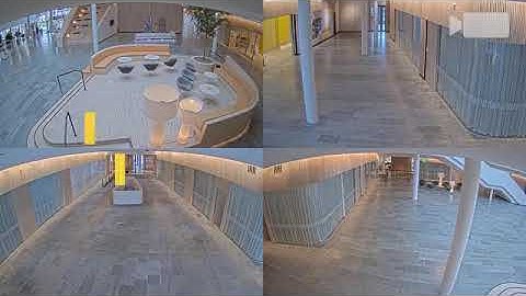 Axis P3727-PLE Panoramic Camera