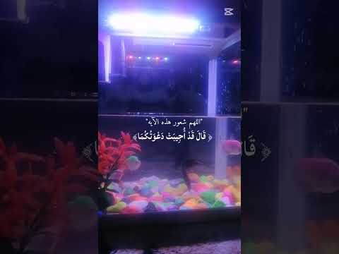 اللهم نسألك دعاء لا يرد وامنية تتحقق يارب ونسألك العفو والعافيه في الدنيا والآخرة يارب ونسألك الجنة