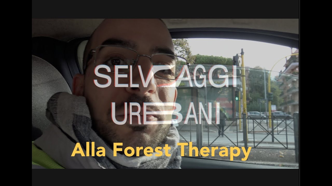 🌲 Il Bosco che Cura - La Forest Therapy con i Selvaggi Urbani 🌲 4K [Wreport - IndyWREP]