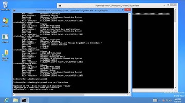 Authenticode DoS.mp4