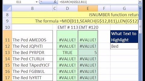 Excel Magic Trick #120: ISNUMBER & SEARCH functions