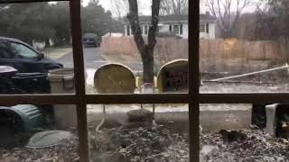 2019 01 12 It’s snowing - TWT