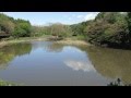 【泉の森】爆弾低気圧　大雨の翌日のしらかしの池  2013.4.7.