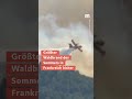 Waldbrände wüten in Frankreich und Spanien #wdraktuell #nachrichten #waldbrand