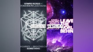 Martin Garrix, Breathe Carolina vs SHM - Something / Leave The World Behind (ViniciusMoreira Mashup)