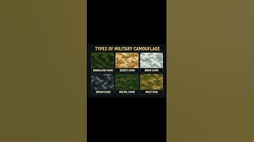 types of military camouflage #coding #smartphone #codeprep #programminglanguage #automobile