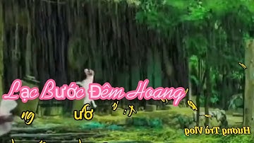 Lạc Bước Đêm Hoang