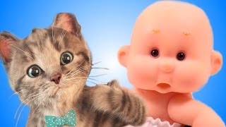 МОЙ Маленький КОТЕНОК и ПУПС Виртуальный питомец СИМУЛЯТОР котика Как мультик видео для детей СПТВ МОЙ Маленький КОТЕНОК и ПУПС Виртуальный питомец СИМУЛЯТОР котика Как мультик видео для детей СПТВ
