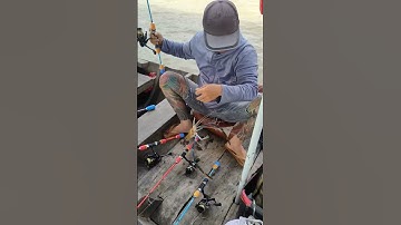 Câu tôm càng xanh sông #cautom #mientay #vlog #shortvideo #shorts