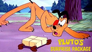Pluto's Surprise Package 1949 Disney Cartoon Short Film | Directed by Charles A. Nichols | Review