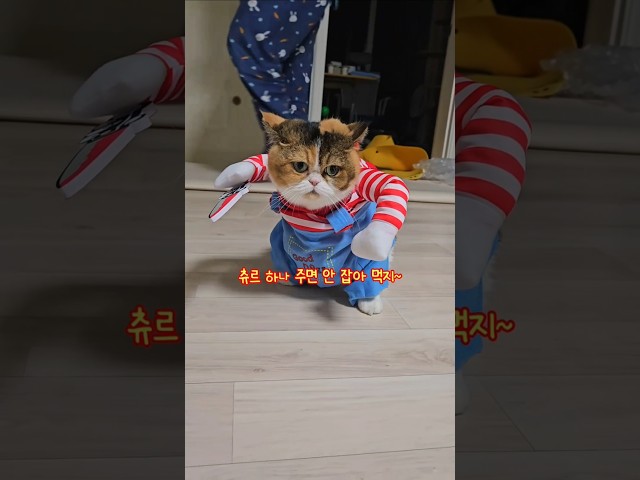 츄르 or 다이