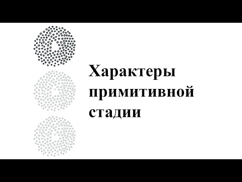 Характеры примитивной стадии (0-1,5 года)
