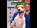 RANKING THE BEST LAUGHING DOG MOMENTS #funny #viral trending