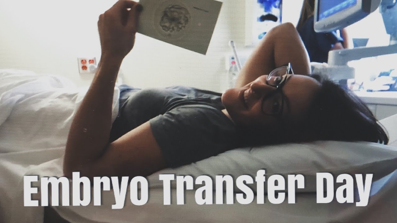 IVF Transfer Day | Baby Mitchell has been launched