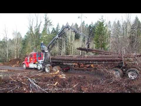 Self Loading log truck stacks a load.