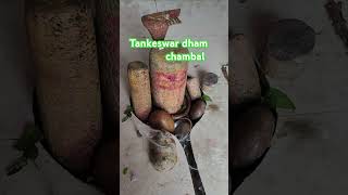 tankeswar#bhole#sidhpeeth#bhole parwati# jai baba#