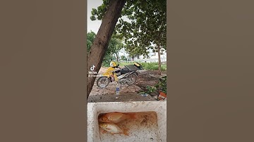 Điểm câu cá tự nhiên tại sông Nhà Bè Quận 7, Dưới chân cầu Phước Long. #câucá #caucatunhien