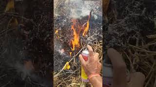 White Colour Spery In Fire | Aag जलाने का अनोखा तरीका 😱 science Experiment