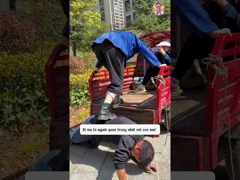 Xúc Phạm Mẹ Chồng Và Cái Giá Phải Trả