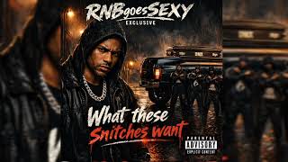 Rnbgoessexy - What These Snitches Want Rnb Banger 2026