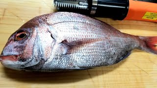 真鯛のしゃぶしゃぶ(鍋)さばき方~検証、家庭で出来る様に解説、(コアな事も出て来ます) [魚屋の技術]