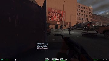 Left 4 Dead 2 | Blight Path map on Hard Eight Mutation Realism Expert Custom Local Host (0 Restart)