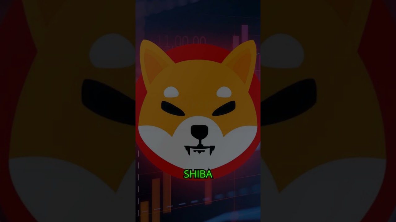 What is Shiba Inu?