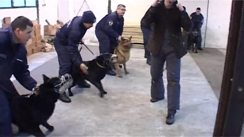 2015-02-10 Háttérben 1. adás - Rendőrkutyák