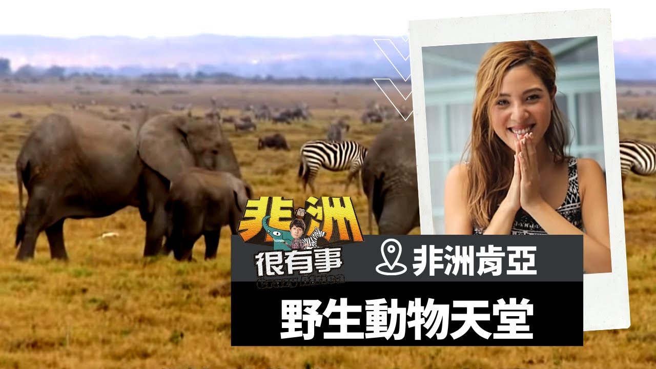 非洲肯亞 等待大象排排站過馬路 超妙體驗的野生動物天堂安博塞利公園 廖科溢 我的非洲很有事 S1 Ep4 亞洲旅遊台