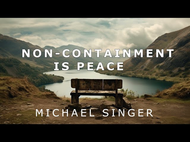 Michael Singer - Non Containment is Peace class=
