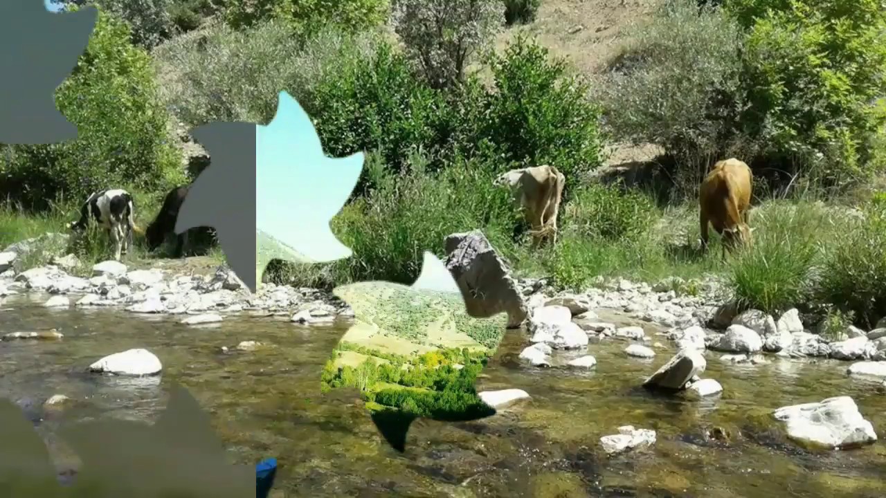 diyarbakır hani güzelce köyü (Arigör)