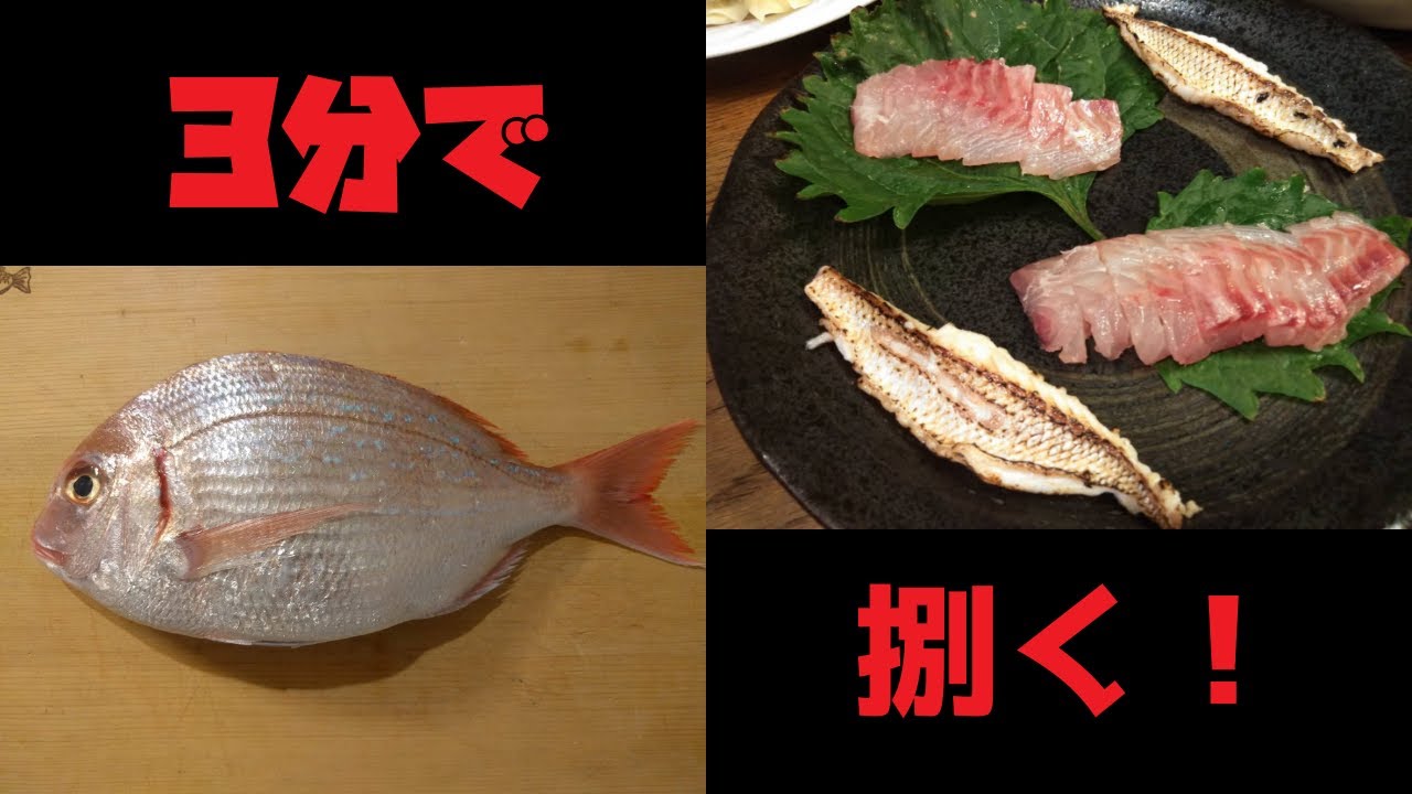 鯛に似たお得な魚 チダイ チコ鯛 旬 栄養素 真鯛との違い 魚たべよ