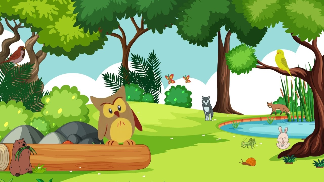 Ollie the Owl - A Wise Old Owl Rhyme for Kids!