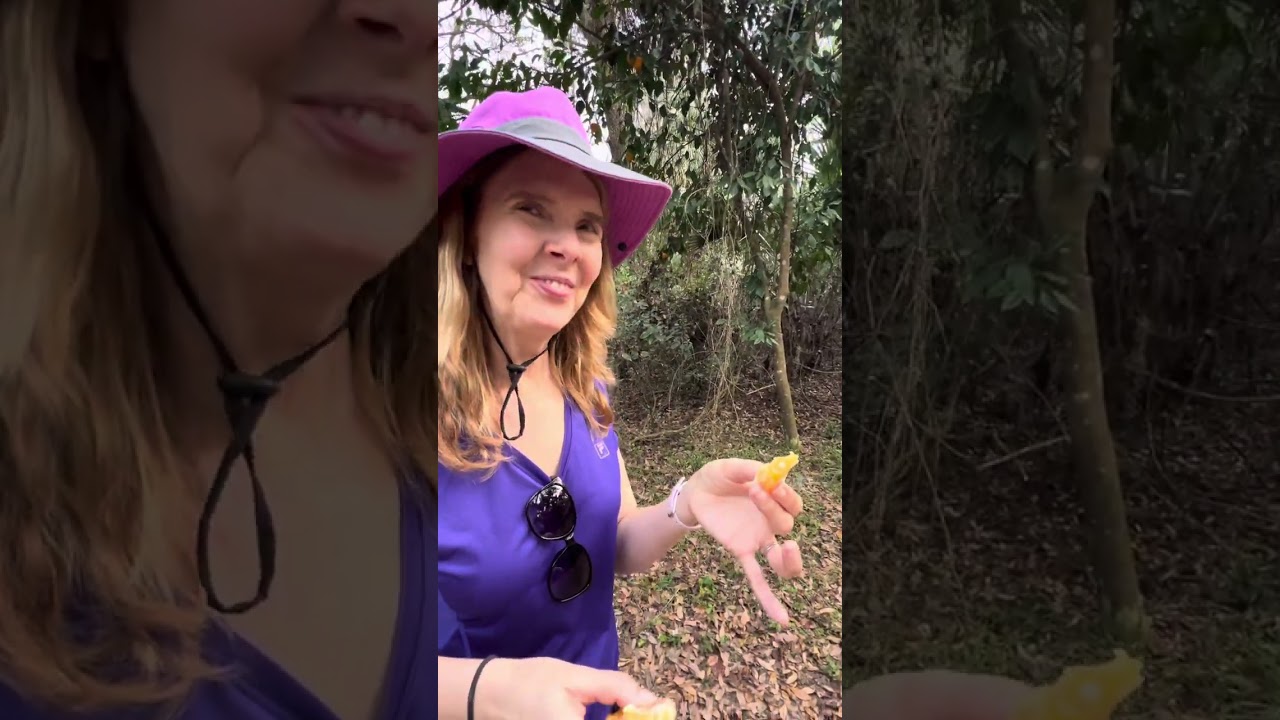 DeNice Eats a WILD ORANGE ! Is it SWEET or SOUR ?