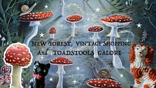 So Many Toadstools! Autumn Vlog. Forest, Vintage Shopping, Painting and 2026 Calendar