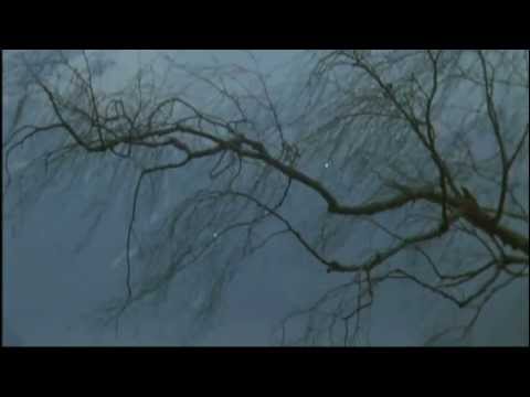 ARTSAVA - THULE /ambient music