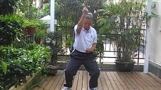 賴漢昭 演示六通拳