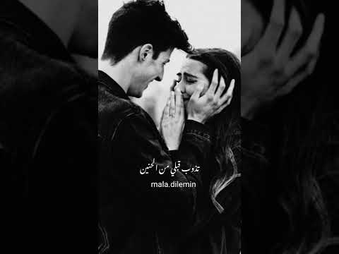 مو ضحكتك باردة ايدك حبيبي كاظم الساهر حالات الواتس