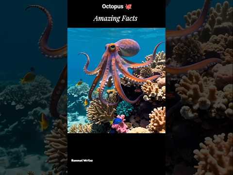 Amazing 5 Facts 😱 Octopus Life 😨 #amazingfacts #octopus