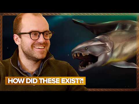 Inside The Bizarre Biology Of Ancient Sharks