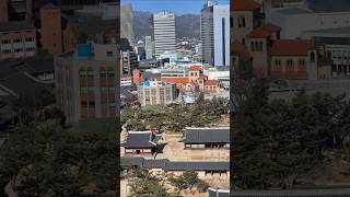 정동전망대 영상