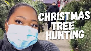 Finding the perfect Christmas Tree at Home Depot