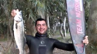 CAM01054.mp4