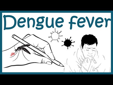 Video: Hele Genomsekvensering Og Genetiske Variasjoner I Flere Dengue-virus Type 1-stammer Fra Uvanlig Dengue-epidemi I I Vietnam