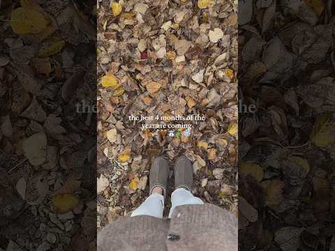the ber’ months are almost here 🍂 #autumm