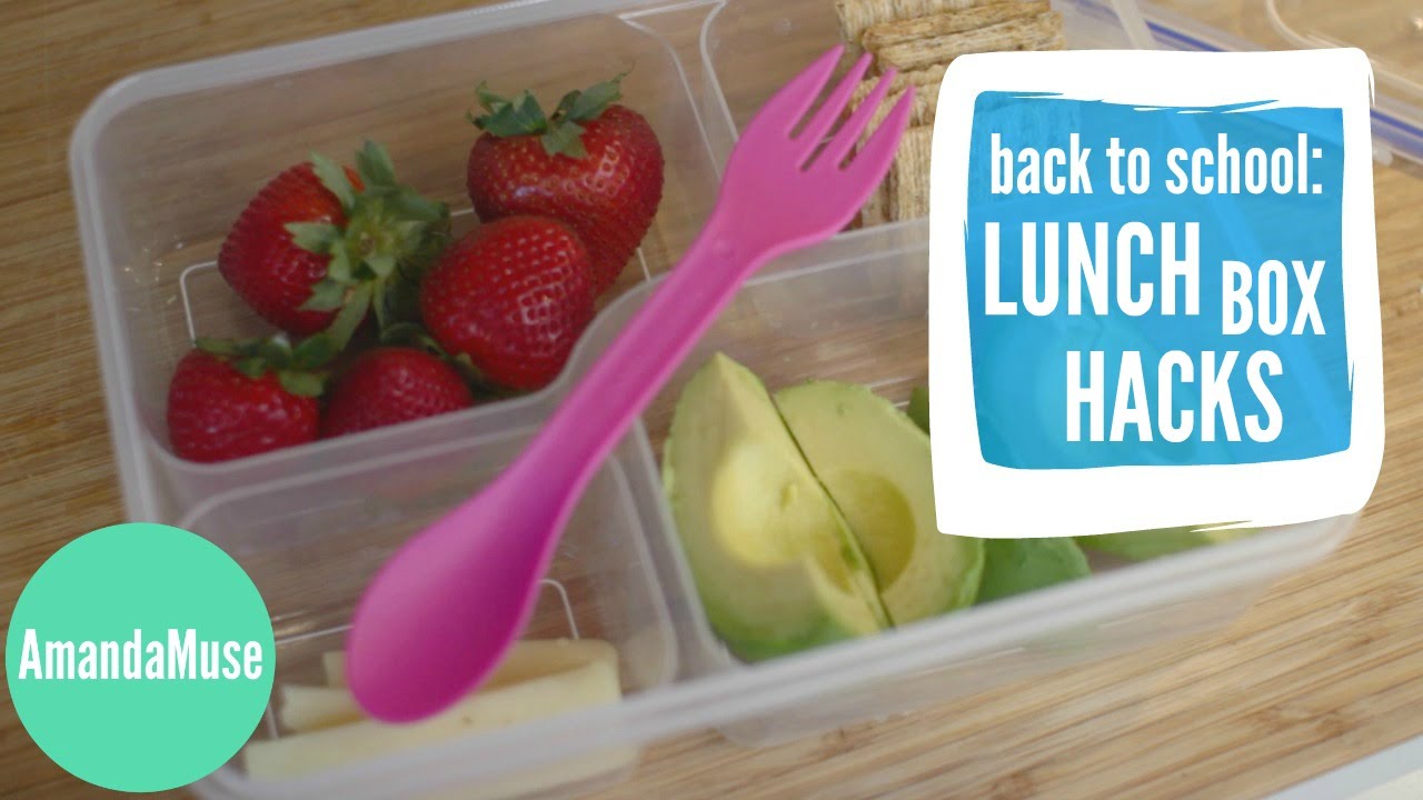 Lunch Box Hacks BACK TO SCHOOL AmandaMuse YouTube