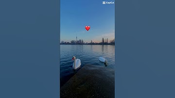 اللهم اجعل القران الكريم شفيعاً لنا يوم القيامة ♥️