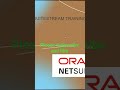 NetSuite ERP