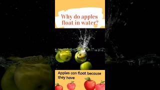Why do apples float in water? #funfacts #apple #forkids